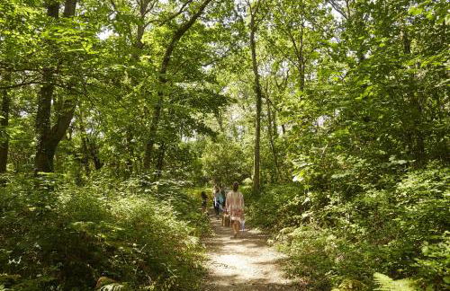 Maison pour 8 - proche plages - Foto 28