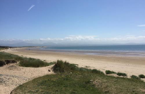 Pen Braint - Foto 23