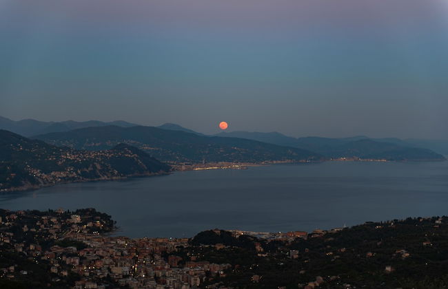 Il Leccio Luxury Resort - Foto 42