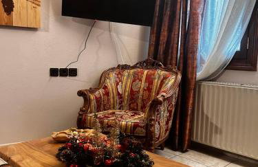 MetsoVillas στο κέντρο του Μετσόβου - Photo 49