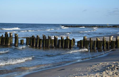 Apartament Sosnowy AKTENA Shellter Rogowo - Foto 27