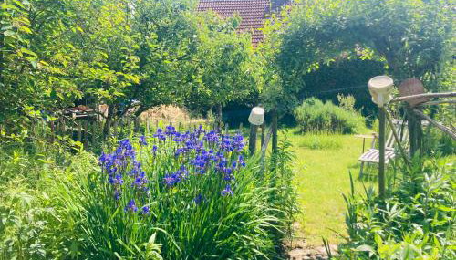 Ferienhaus am Wasser im Grünen - Foto 4