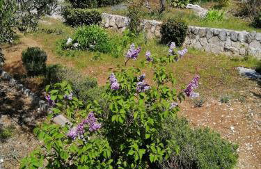 Apartman Luis Silence - Foto 17