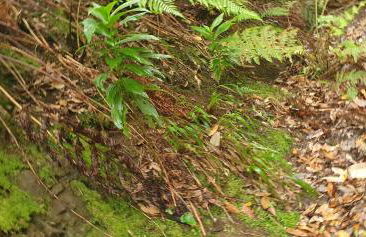 Casa Rural EL PUENTE - Foto 71