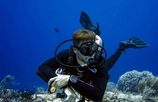 Scuba Diving in Cozumel - Foto 3