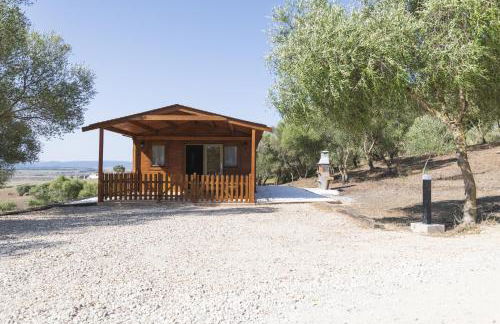 Finca Florida - Foto 1