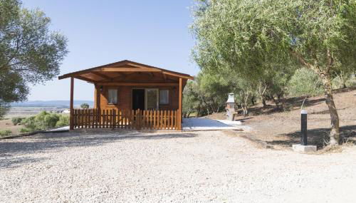 Finca Florida - Foto 1