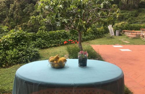 Villa Shanti Yoga & Meditation - Foto 56