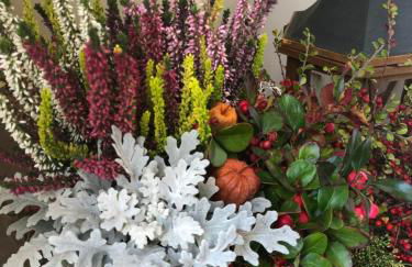 Al Truciolo - Foto 42