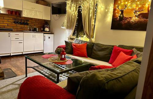 Domek Uroczy Golubie ,niedaleko stoku Koszałkowo ,balia,sauna,kominek,ognisko - Foto 23