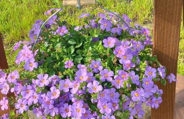 Dolina Sosny - Foto 19