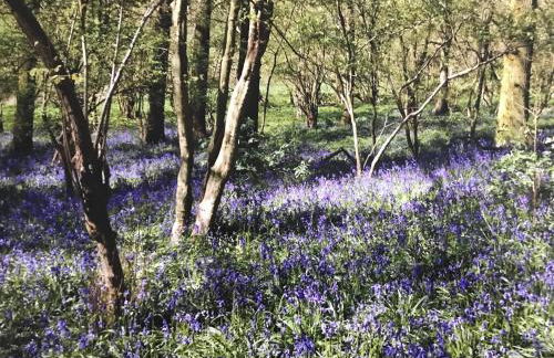 Apartment above Samantha Dadd Art Studio - in the Cotswolds - Foto 26