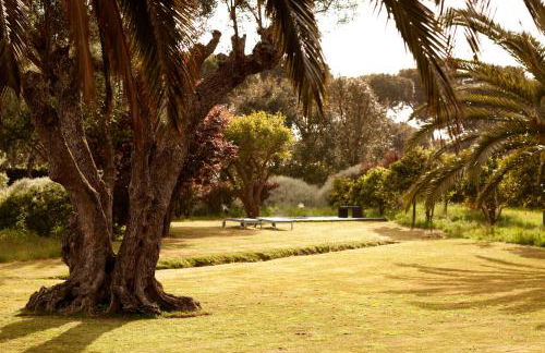 Quinta Do Miguel - Foto 23