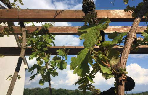 Villa Raniero Gatti - Foto 23