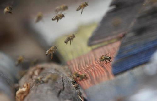 Beim Bicher - Photo 25