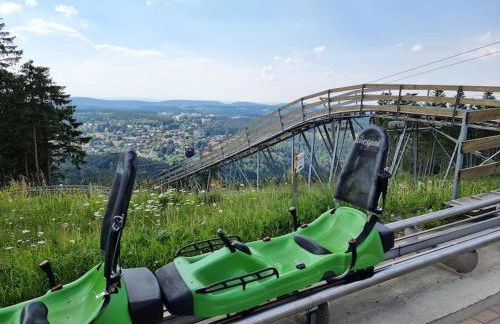 Waldloft - Okertal Goslar Harz - Photo 24