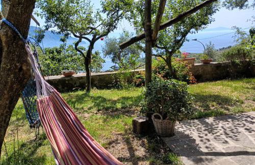 Amalfi Coast, Positano, Sorrento, Capri, Garden, Villa Carcara - Foto 10