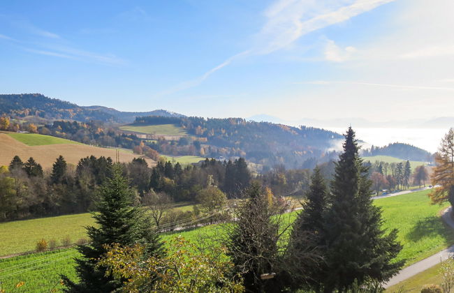 Magdalensberg - Photo 38