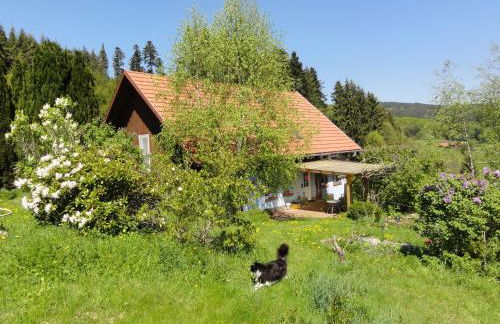 ruhiges Wohnen am Lama und Maine Coon Hof in Alleinlage in Biederbach 3 Zimmer mit Kochgelegenheit Bad - Foto 22