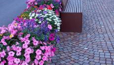 Appartamento Fiorella - Foto 2