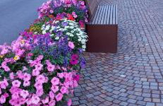 Appartamento Fiorella - Foto 2