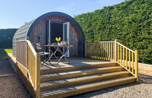 The Garden Pod - Photo 1