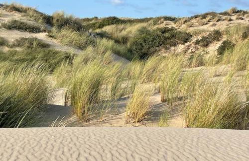 Stella Mare charmante maison proche du Touquet - Foto 46