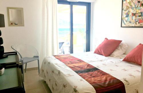 VUE MAGNIFIQUE SUR BAIE AJACCIO - Foto 14