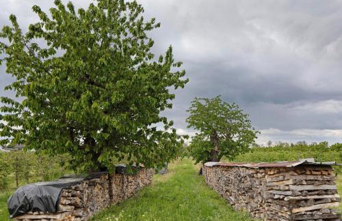 Ferienhof Schlössle - Foto 7