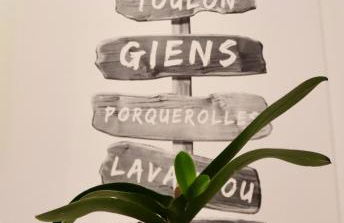 Appartement de 45 m2 en rez-de-villa avec jardin - Foto 14