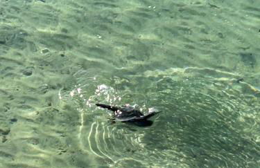 Superbe appartement neuf de haut standing - Foto 41