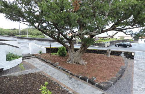 Casa do Bica - Photo 32