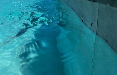 Pulchra Campis,Private Pool,Wifi,Parking - Foto 9