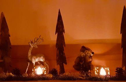 Ferienwohnung im Landhaus am Nationalpark - Foto 42