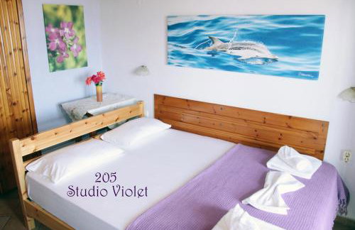 Fasoli Studios - Foto 23