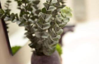 Adventure Hub Biking Hiking Hunting Paddle - Foto 27