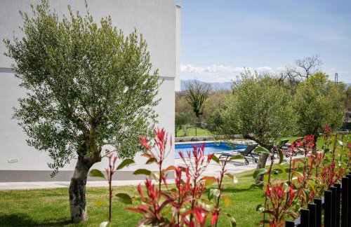 Luxury Villa Ante with pool - Photo 6