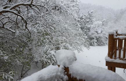 2BR Rustic Villa - Foto 37