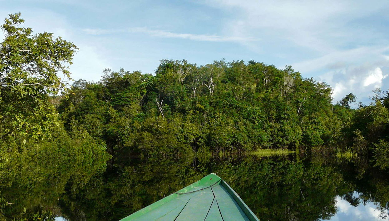 Tour pela enseada do Amorim