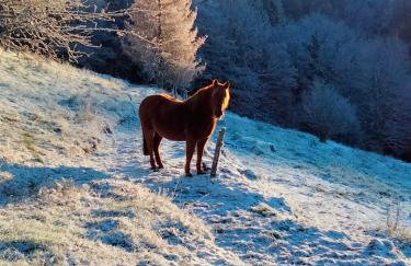 Gite le grenier du roc - Foto 10