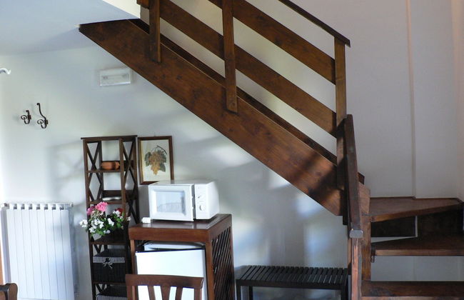 La Gabbianella e il Gatto - Foto 11