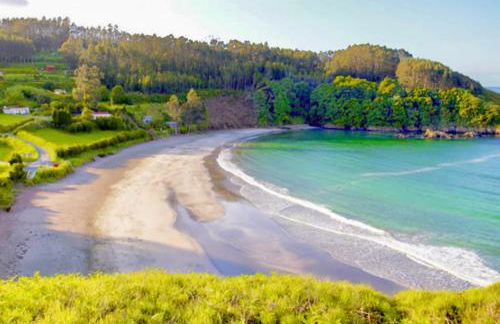 As Cañotas - Foto 14