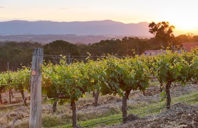 Wandin Valley Estate - Photo 33