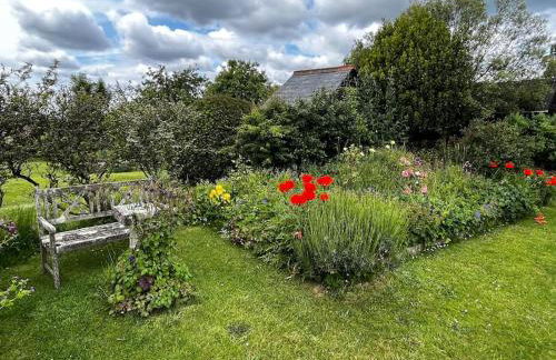 Byre - Farm Cottage on 9 acre Equestrian Small Holding - Photo 19