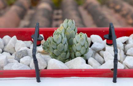 Iron House - Penthouse with Bathtub in Golden Mile & Roman Bridge - Foto 69
