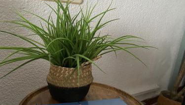 Dúplex Puente REY con balcon - Foto 4