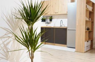 MULTIROOMS - Foto 31