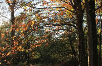 Le Cottage de la Doucette - Foto 38