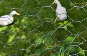 Cumledge Yew Trees Cottage - Foto 8