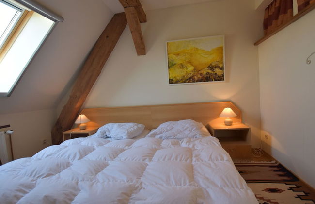 Rustic-style Apartment in Buschenhagen With Garden - Photo 5